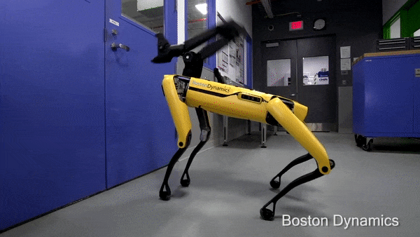 Terrifying robot dog